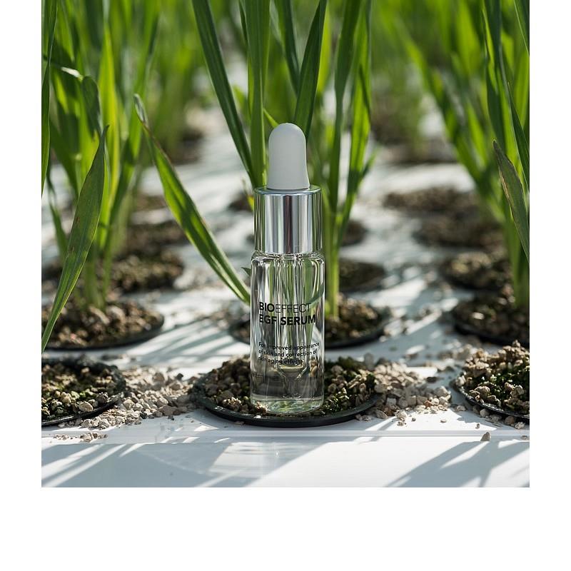 BIOEFFECT EGF SERUM, 15 ml